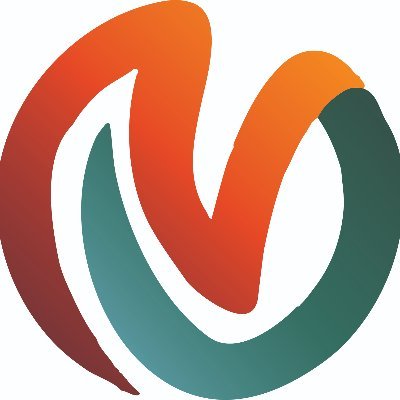 Vidya University logo